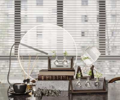 水生植物3D模型下载